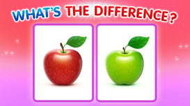 What's The Difference? - Puzzle educational game