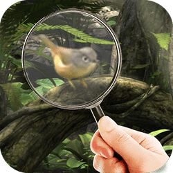 Fairy Woods Hidden Objects - Memory educational game