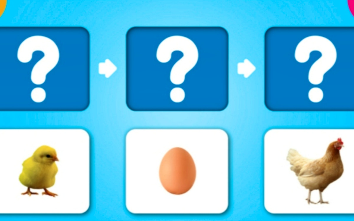 Animal Life Cycle - Science educational game